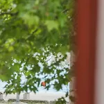 Lena Apartament Kaštela